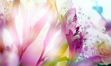 那些不可错过的优质生肖女