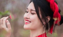 羲邑师姐生肖狗一周运势（8.27-9.2）