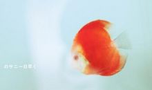 1948年属鼠的人2018年运程大全及破解