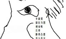 不能得罪的女人面相