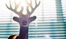 海百合今日运势2018年2月27日