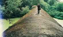 Julia Chen2014年8月水瓶座运势