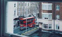 羲邑师姐2018年1月生肖猴运势