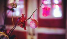 羲邑师姐2017年生肖虎年度运势