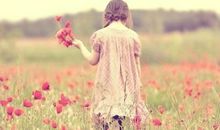 羲邑师姐2017年生肖鸡年度运势