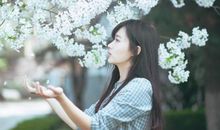 海百合12星座一周运势（2015.2.2-2.8）