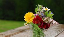 羲邑师姐:生肖猪一周运势（5.14-5.20）