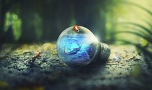 羲邑师姐生肖羊一周运势（8.13-8.19）