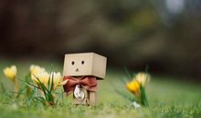 羲邑师姐2017年生肖兔年度运势