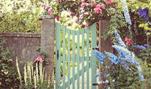 羲邑师姐2017年生肖鼠年度运势