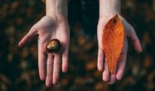 2012年哪些生肖财运不佳