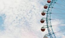 羲邑师姐2017年农历6月生肖猪运势