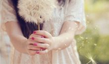 羲邑十二生肖一周运势（10.9-10.15）