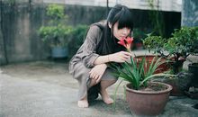 羲邑师姐十二生肖一周运势（12.11-12.17）