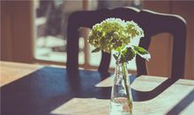 羲邑师姐2017年11月生肖运势