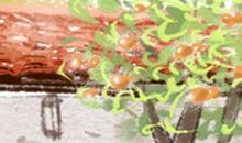 巨蟹座男生对哪种美眉无抵抗力