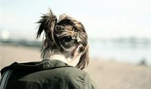 羲邑师姐2017年9月生肖猴运势