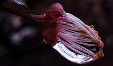 未来三年里财运稳健上涨的生肖