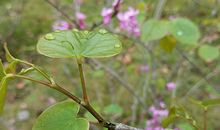 进入夏季之后哪些生肖的财运福运会有所提升