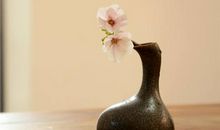 羲邑师姐:生肖鸡一周运势（5.14-5.20）