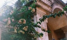 羲邑师姐生肖虎一周运势（1.22-1.28）