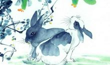 属兔2020年运势及运程 属兔人2020年全年每月运势