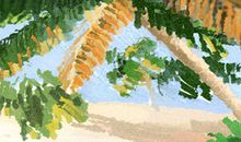 骨相学图解：头骨之十二起骨论法看命运