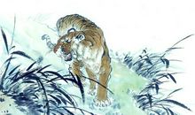 属虎2020年运势及运程 属虎人2020年全年每月运势