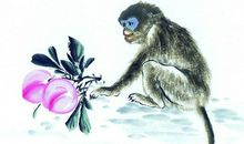 属猴2020年运势及运程 属猴人2020年全年每月运势