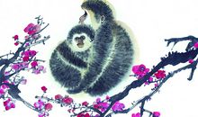 属猴2020年运势及运程 属猴的人2020年全年运势