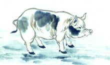 属猪2020年运势及运程 属猪的人2020年全年运势