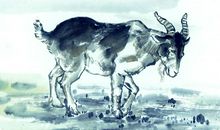 属羊2020年运势及运程 属羊的人2020年全年运势