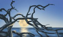 上海十大景点之田子坊