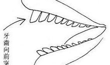 处处树敌的女人面相