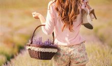 羲邑师姐2017年农历6月生肖鼠运势