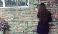 羲邑师姐2017年农历6月生肖兔运势