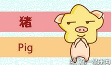 2018年七月属猪什么运最好