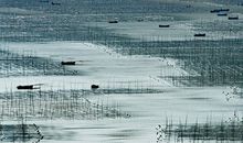 未来三个月内运势稳定 财富收入增加的生肖