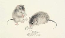 属鼠2020年运势及运程 属鼠人2020年本命年全年运势