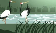 12生肖下半年会遇上什么好事