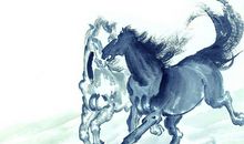 属马2020年运势及运程 属马人2020年全年每月运势