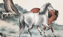 生肖马的幸福婚配