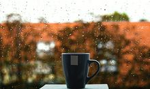 5月生肖龙财运预测抢先报