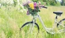 运势君一周星座运势（5.28-6.3）