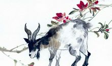 属羊2020年运势及运程 属羊人2020年全年每月运势