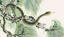 属蛇2020年运势及运程 属蛇人2020年全年每月运势