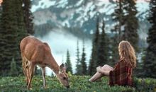 熊神进2018年狮子座运势