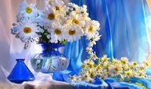 七月顺风顺水，有求必应的生肖