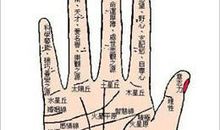 盘点最旺的几种偏财运手相