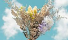 羲邑师姐:生肖虎一周运势（5.14-5.20）